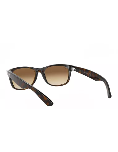 RB2132 New Wayfarer