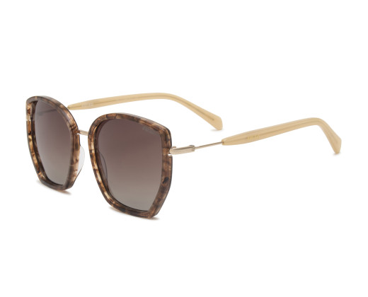 Vitalogy 4 SUN AY237