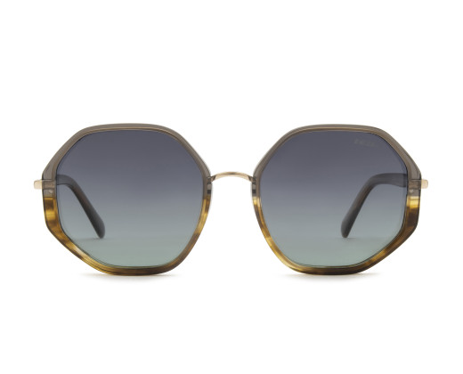 Vitalogy 6 SUN AY239 2