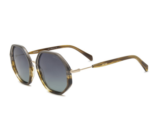 Vitalogy 6 SUN AY239